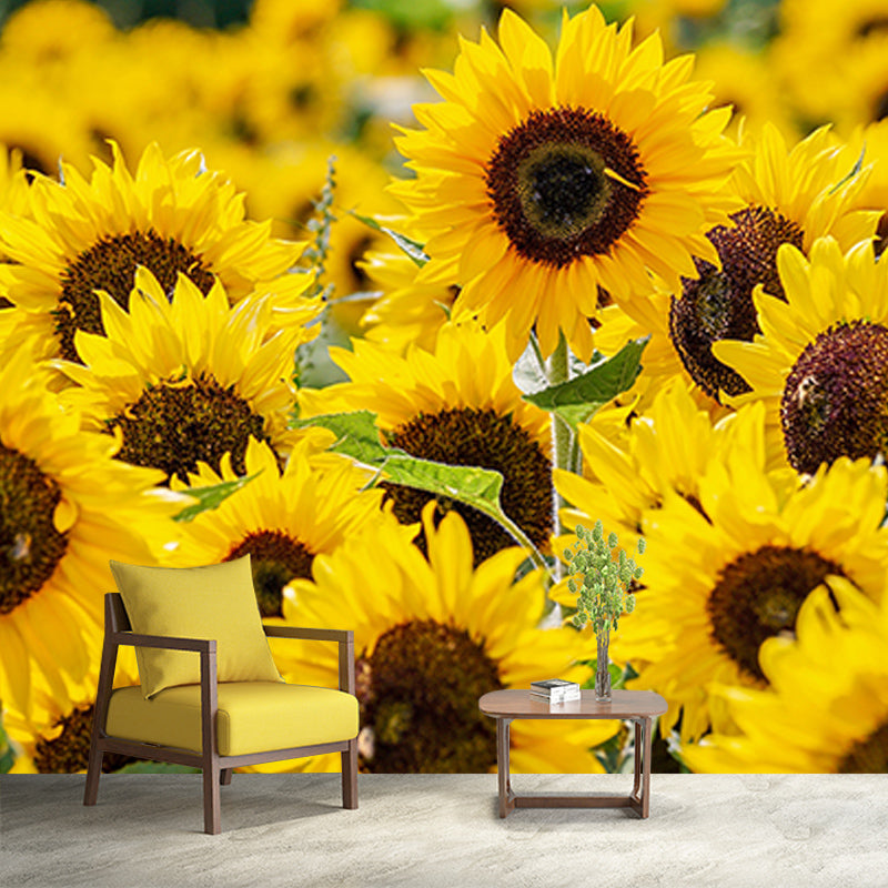 Modern Style Mural Wallpaper Flowers Photography Indoor Wall Mural