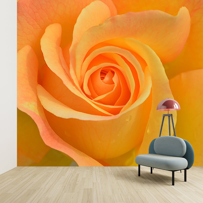 Modern Style Mural Wallpaper Flowers Photography Indoor Wall Mural