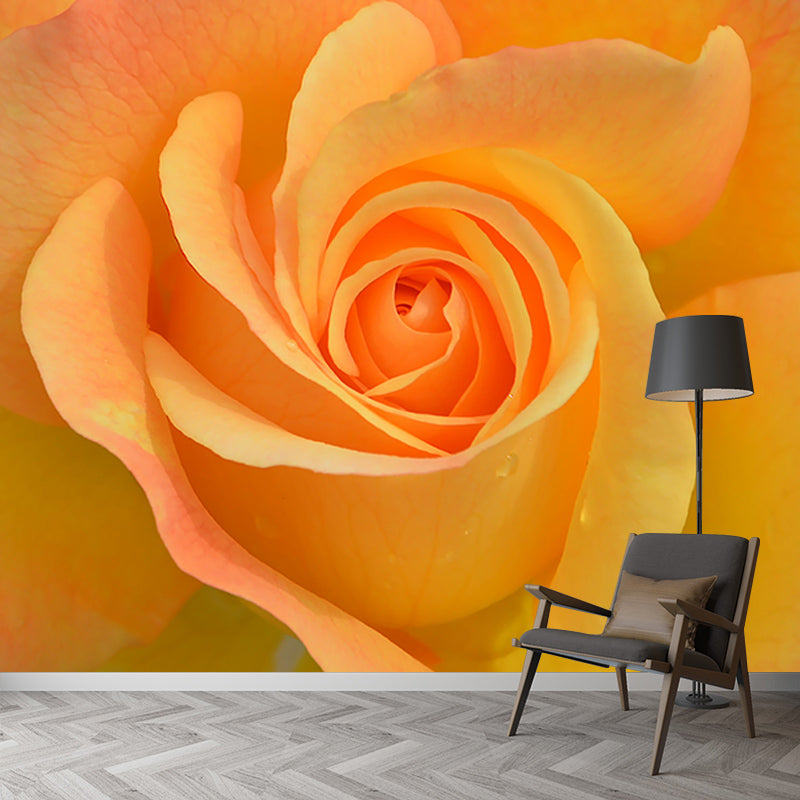 Modern Style Mural Wallpaper Flowers Photography Indoor Wall Mural