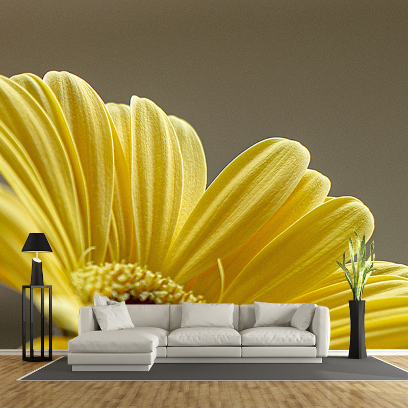 Daisy Mildew Resistant Wallpaper Photography Sleeping Room Wall Mural