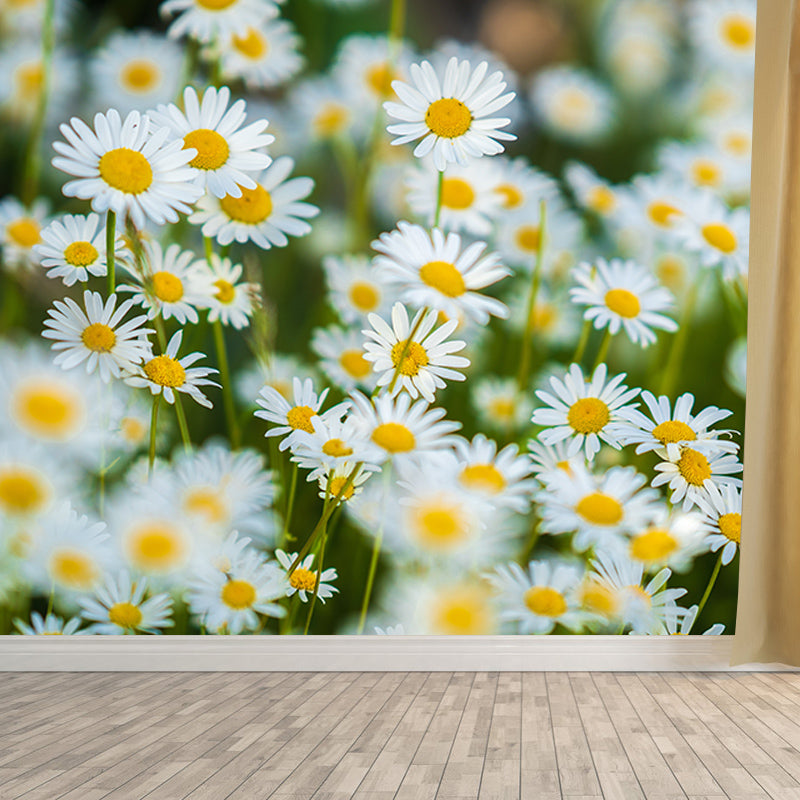 Daisy Mildew Resistant Wallpaper Photography Sleeping Room Wall Mural