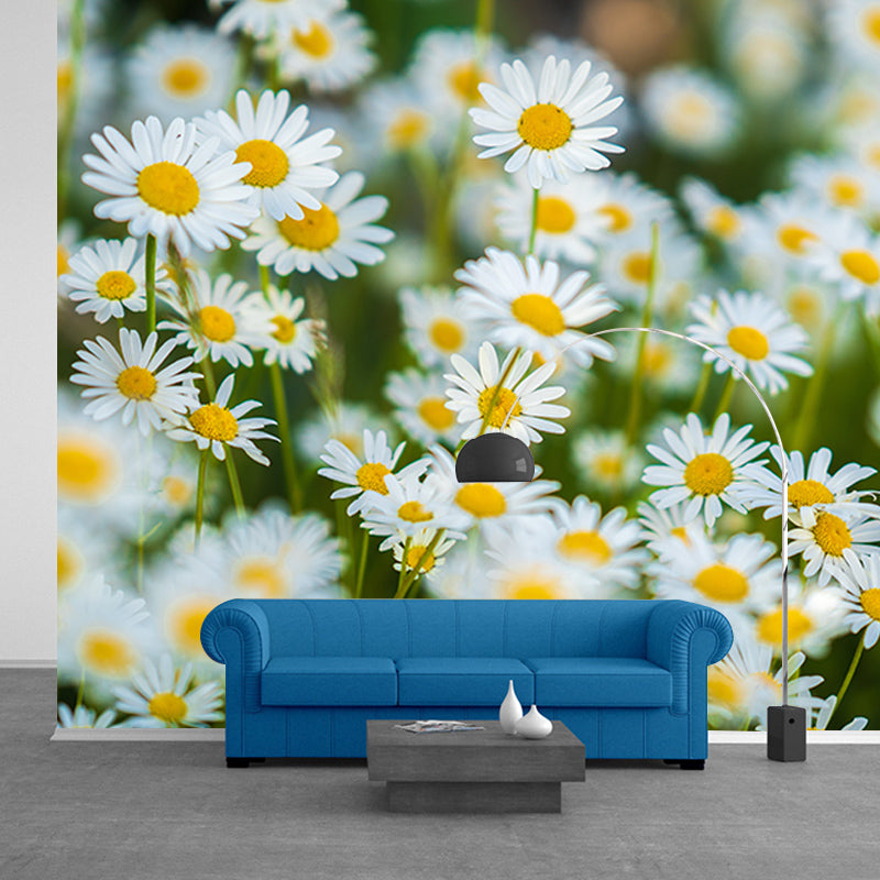 Daisy Mildew Resistant Wallpaper Photography Sleeping Room Wall Mural