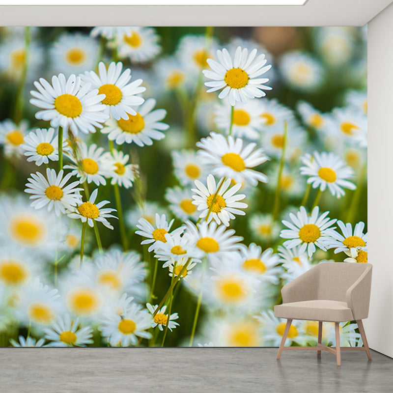 Daisy Mildew Resistant Wallpaper Photography Sleeping Room Wall Mural