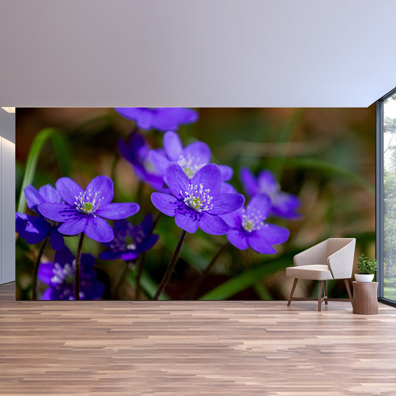 Beautiful Photography Mural Wallpaper Flowers Indoor Wall Mural