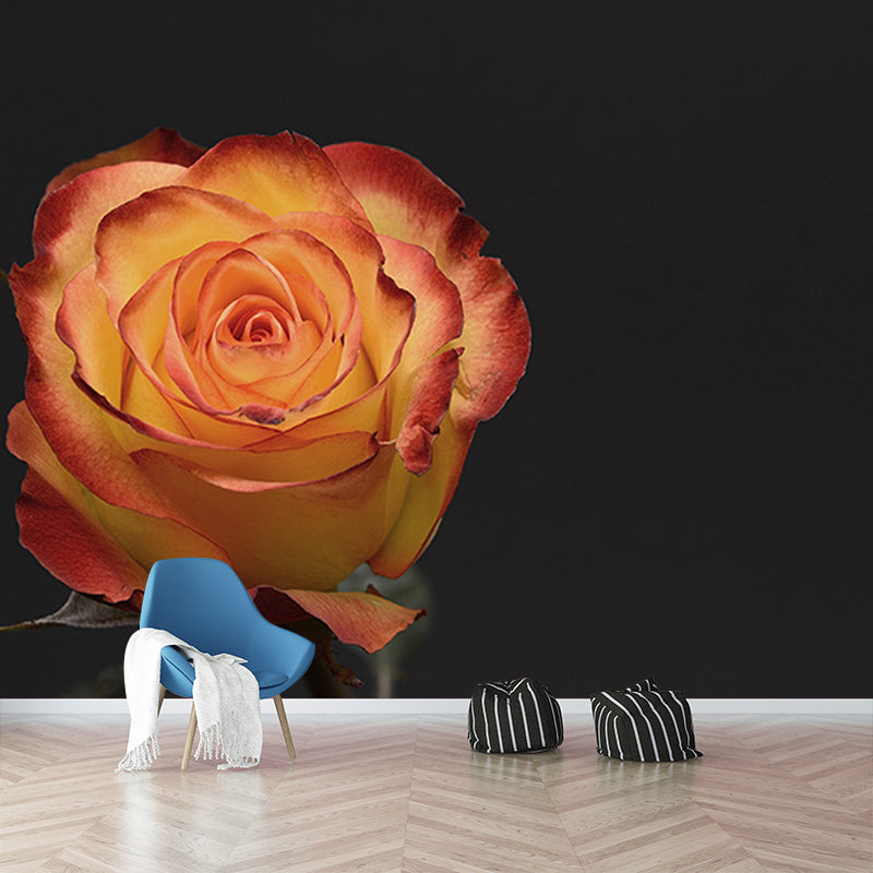 Photography Stain Resistant Mural Wallpaper Roses Living Room Wall Mural