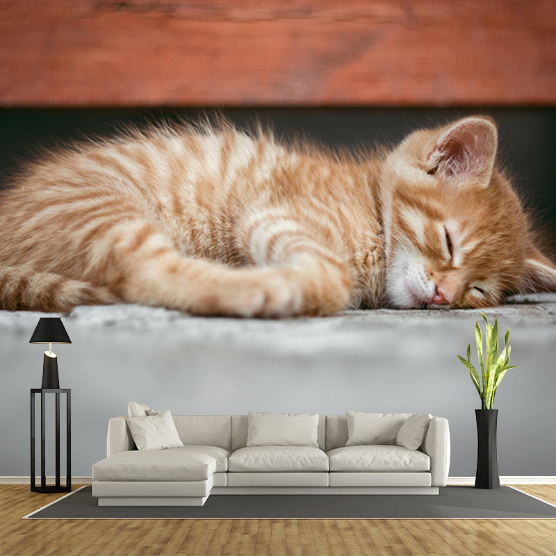 Photography Wall Mural Wallpaper Cats Sitting Room Wall Mural