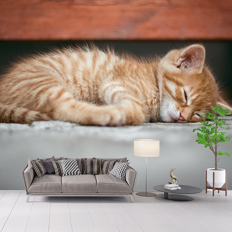 Photography Wall Mural Wallpaper Cats Sitting Room Wall Mural