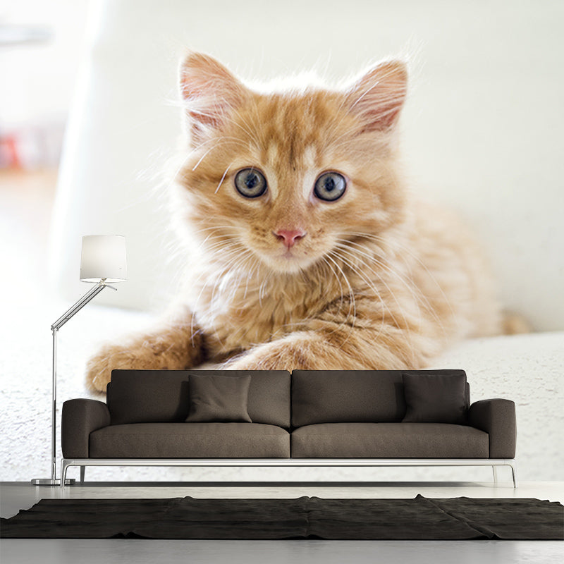 Photography Wall Mural Wallpaper Cats Sitting Room Wall Mural