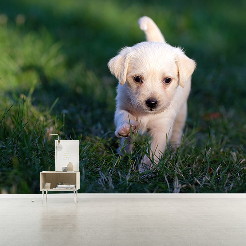 Modern Photography Mural Wallpaper Pet Dog Indoor Wall Mural