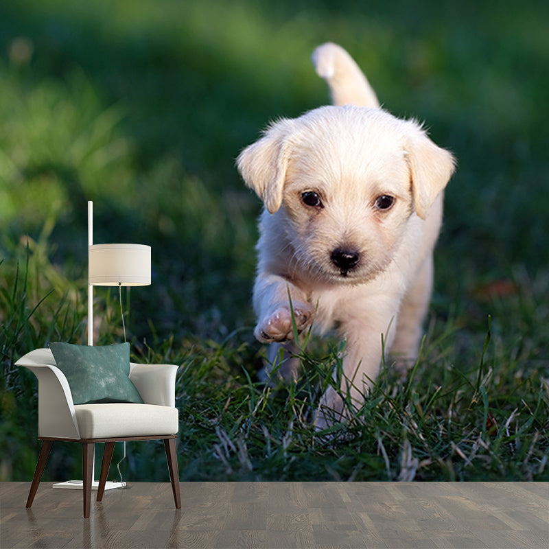 Modern Photography Mural Wallpaper Pet Dog Indoor Wall Mural