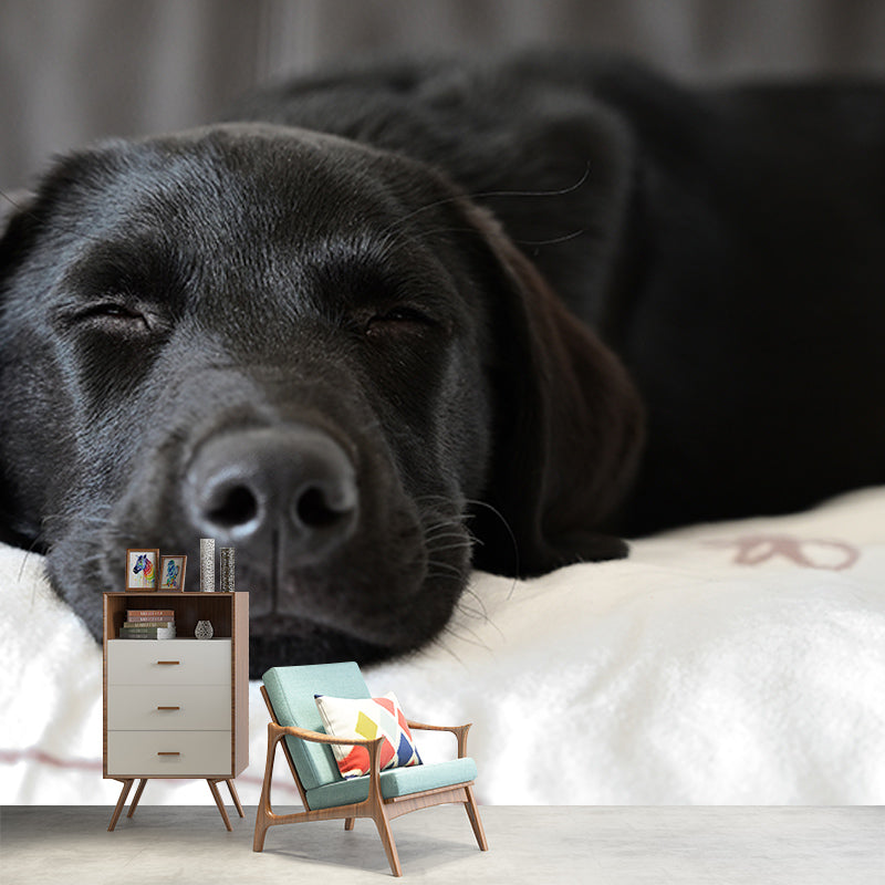 Modern Photography Mural Wallpaper Pet Dog Indoor Wall Mural