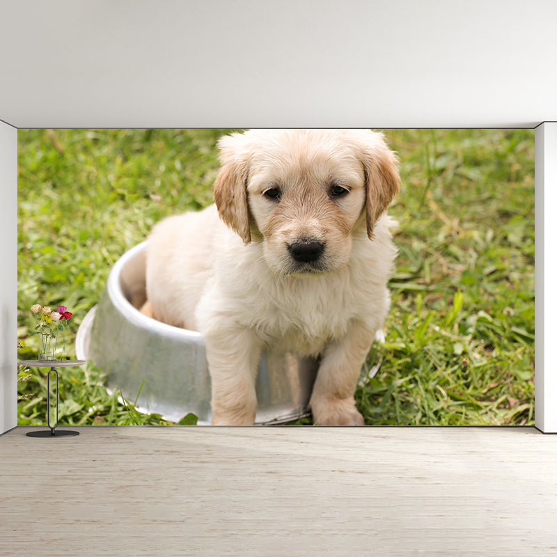 Modern Photography Mural Wallpaper Pet Dog Indoor Wall Mural