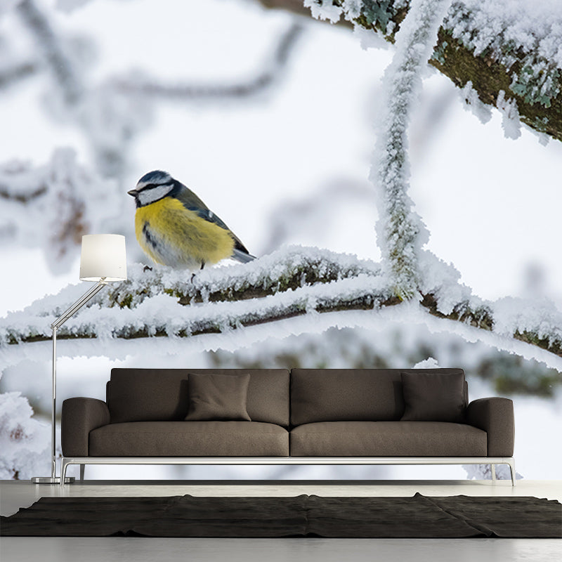 Photography Environment Friendly Mural Wallpaper Birds Bedroom Wall Mural