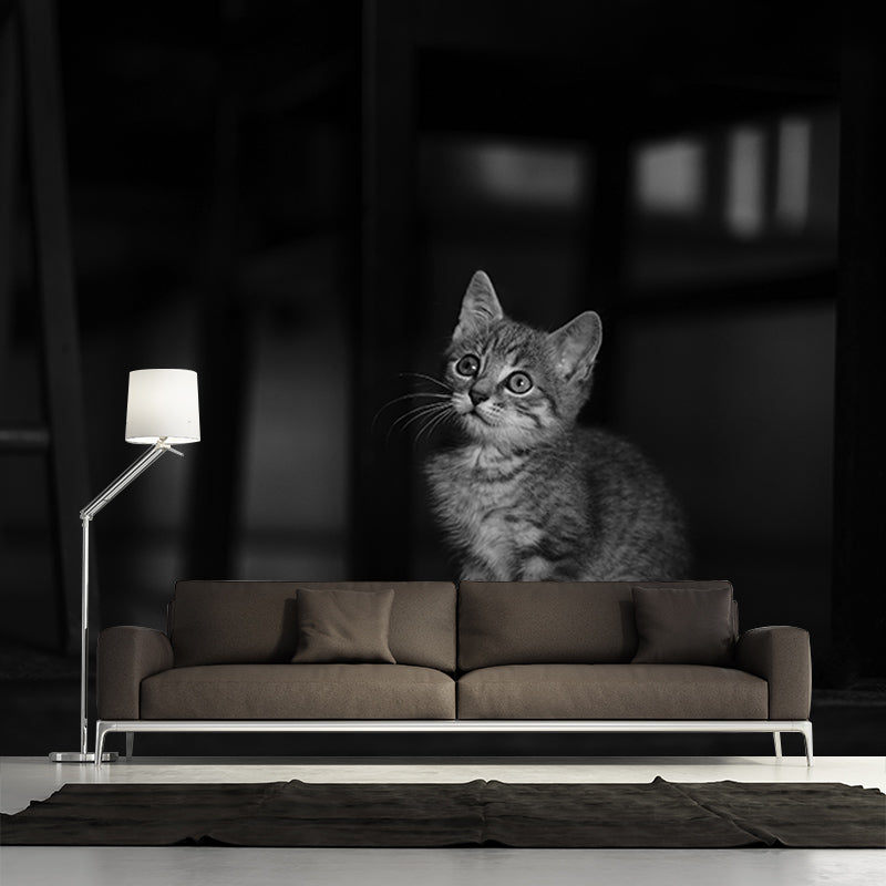 Photography Stain Resistant Wallpaper Cats Living Room Wall Mural