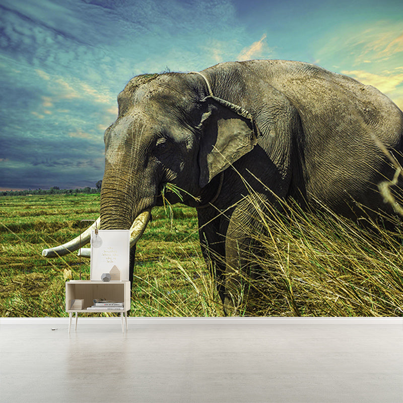 Environmental Wall Mural Wallpaper Elephants Sitting Room Wall Mural