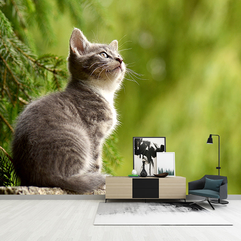 Cats Mildew Resistant Mural Wallpaper Sleeping Room Wall Mural