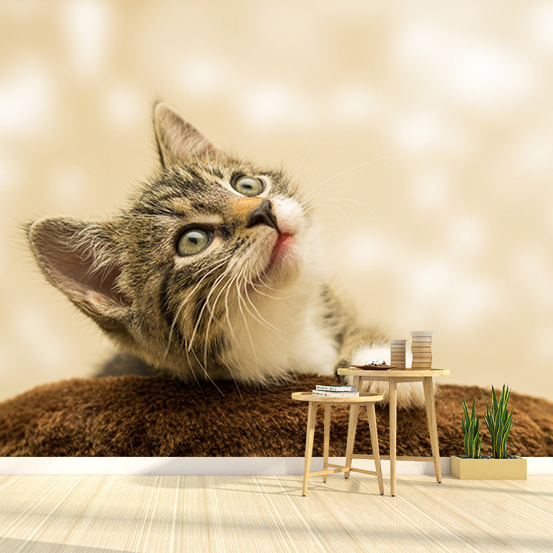 Cats Mildew Resistant Mural Wallpaper Sleeping Room Wall Mural