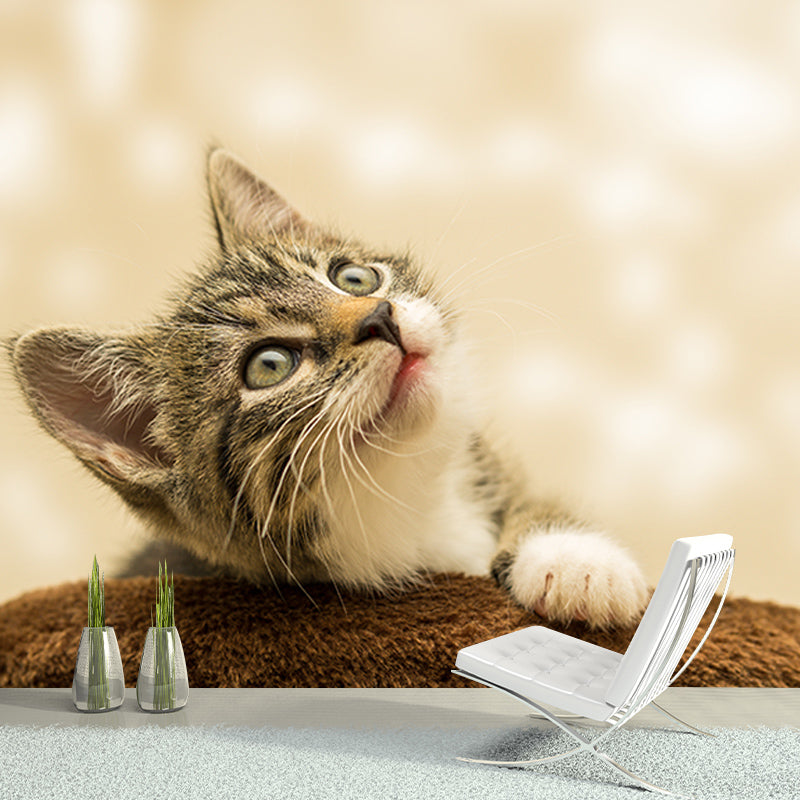 Cats Mildew Resistant Mural Wallpaper Sleeping Room Wall Mural