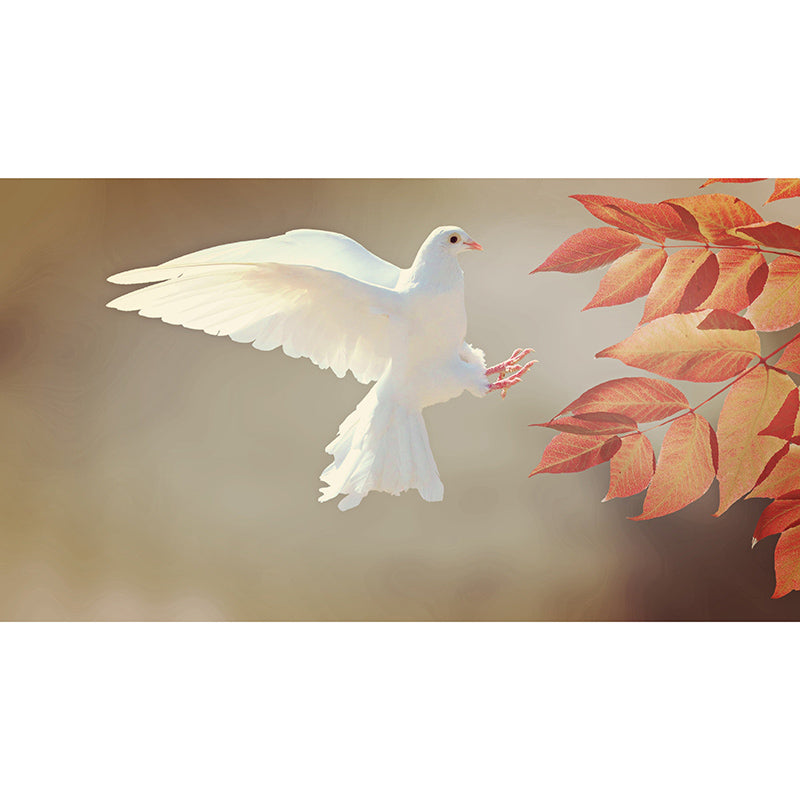 Beautiful Photography Mural Wallpaper Birds Indoor Wall Mural