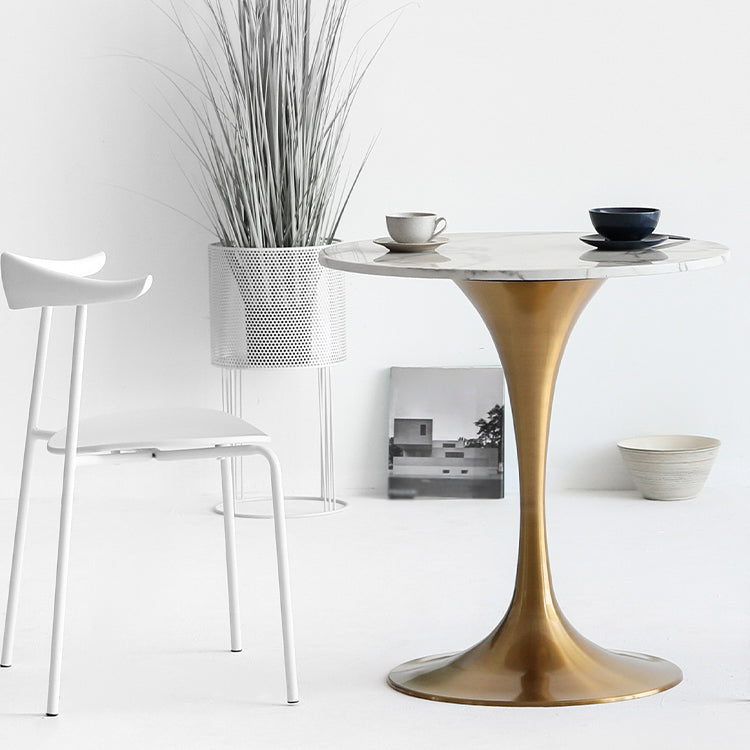 Metal Modern Round Dining Table Marble Top Indoor Table with Tulip Base