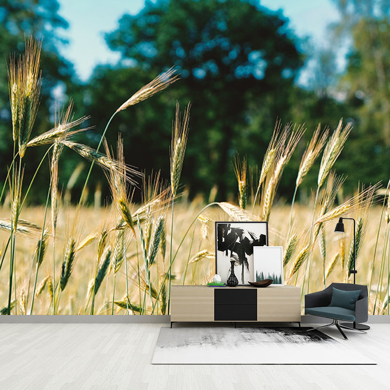 Wheat Field Photography Wall Mural Wallpaper Sitting Room Wall Mural