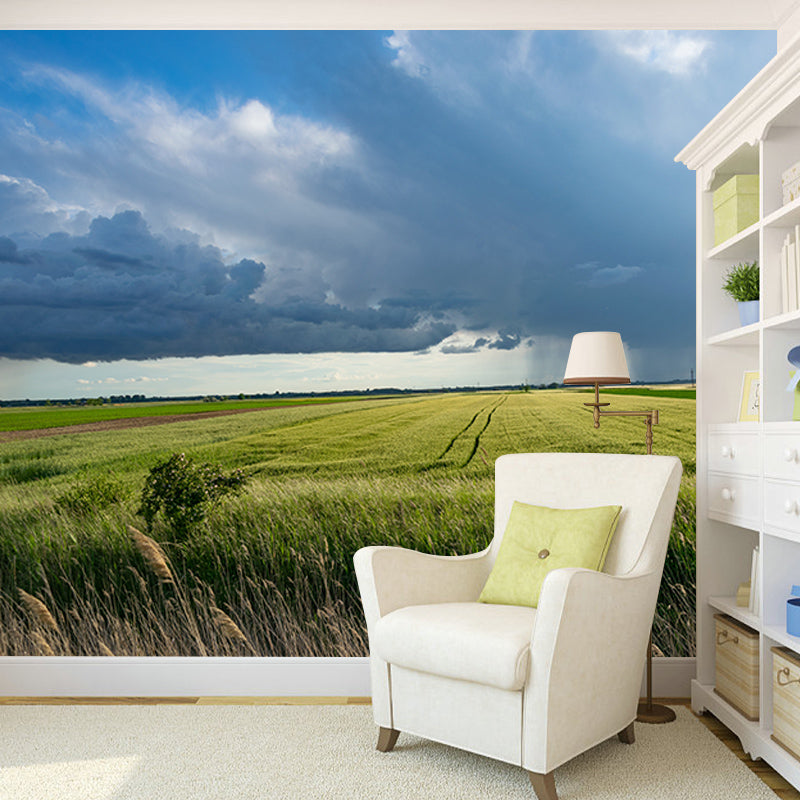 Wheat Field Photography Wall Mural Wallpaper Sitting Room Wall Mural