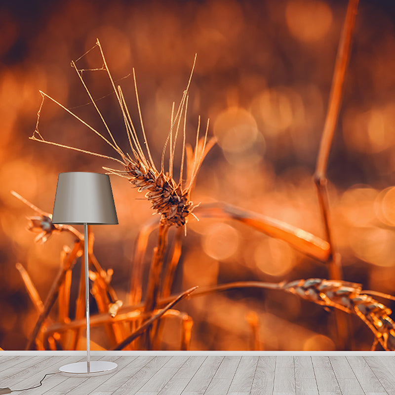 Wheat Field Photography Wall Mural Wallpaper Sitting Room Wall Mural