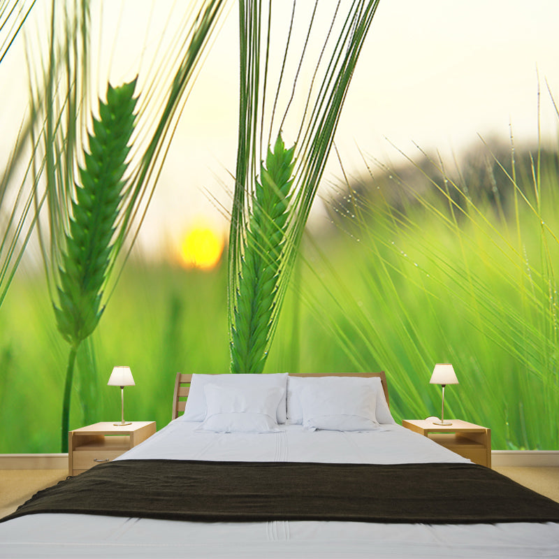 Photography Wheat Field Mildew Resistant Wallpaper Environmental Sleeping Room Wall Mural