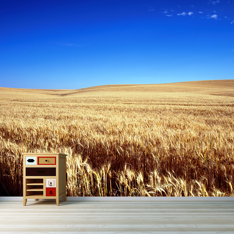 Photography Wheat Field Mildew Resistant Wallpaper Environmental Sleeping Room Wall Mural