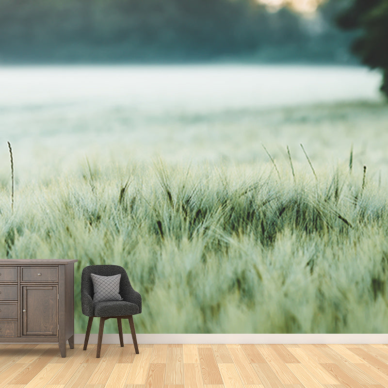 Photography Wheat Field Mildew Resistant Wallpaper Environmental Sleeping Room Wall Mural