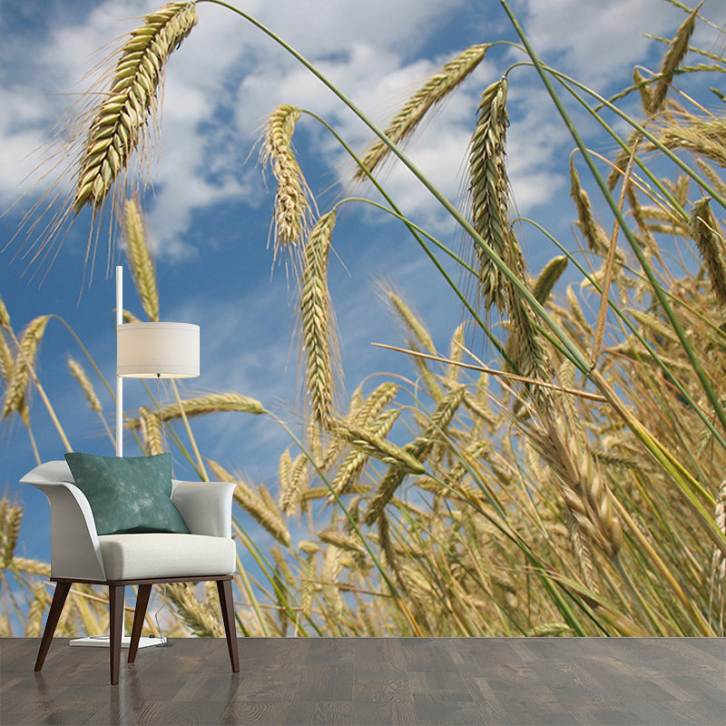 Wheat Field Modern Photography Mural Wallpaper Indoor Wall Mural