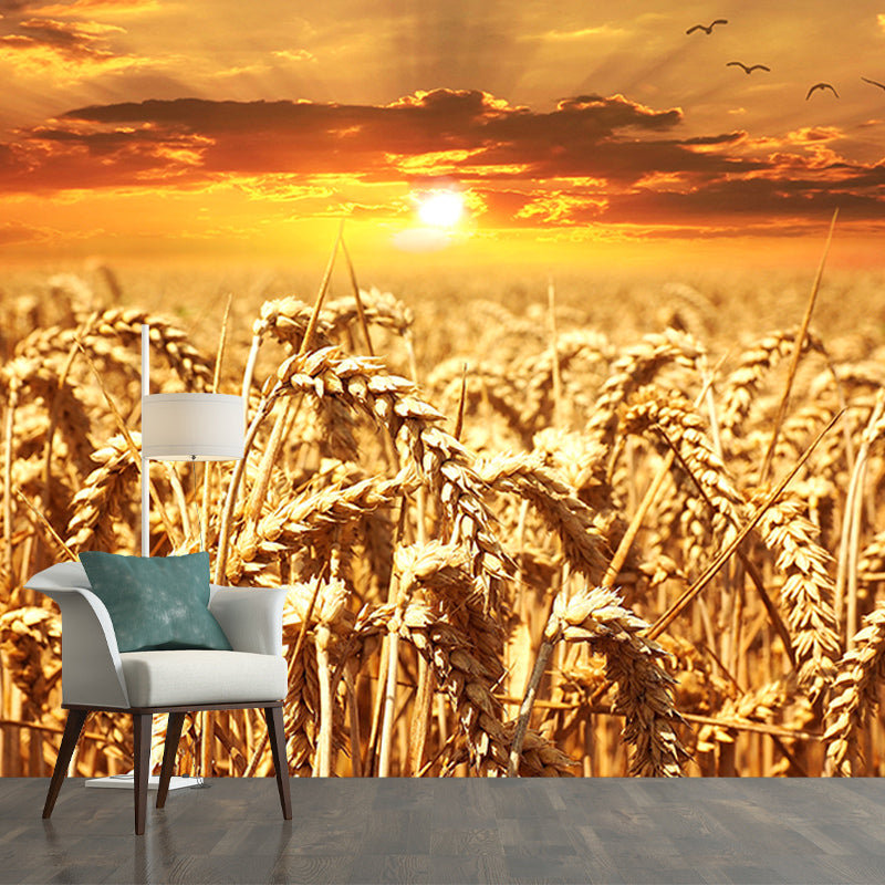 Wheat Field Modern Photography Mural Wallpaper Indoor Wall Mural