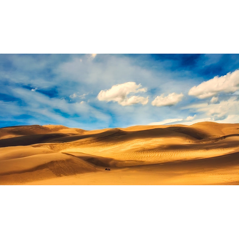 Desert Mildew Resistant Mural Wallpaper Sleeping Room Wall Mural