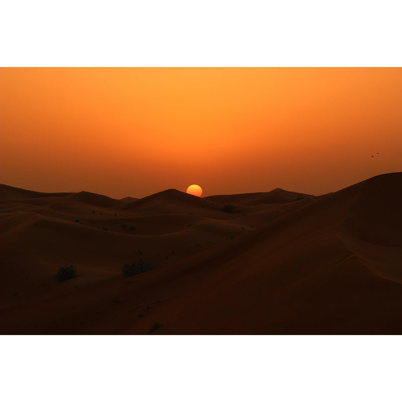 Beautiful Photography Mural Wallpaper Desert Environment Friendly Indoor Wall Mural