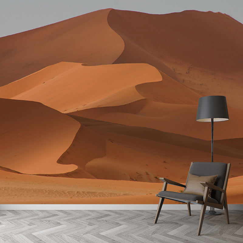 Photography Stain Resistant Mural Wallpaper Desert Living Room Wall Mural