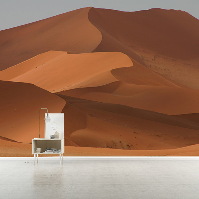 Photography Stain Resistant Mural Wallpaper Desert Living Room Wall Mural