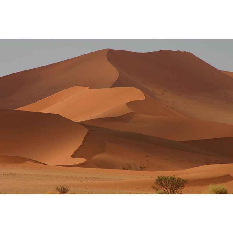 Photography Stain Resistant Mural Wallpaper Desert Living Room Wall Mural