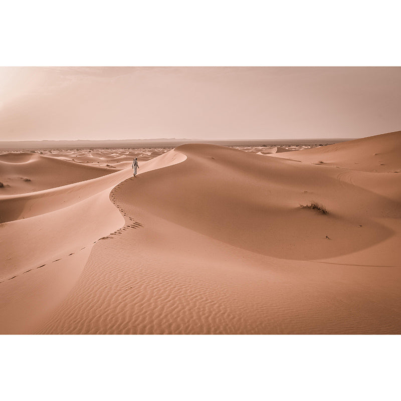 Photography Stain Resistant Wall Mural Wallpaper Desert Sitting Room Wall Mural