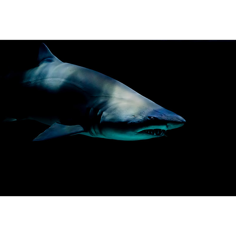 Environment Friendly Resistant Mural Wallpaper Seabed Living Room Wall Mural