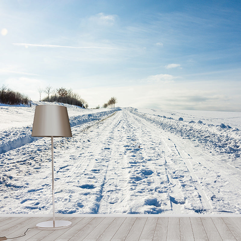 Decorative Wall Mural Wallpaper Outdoor Path Sitting Room Wall Mural