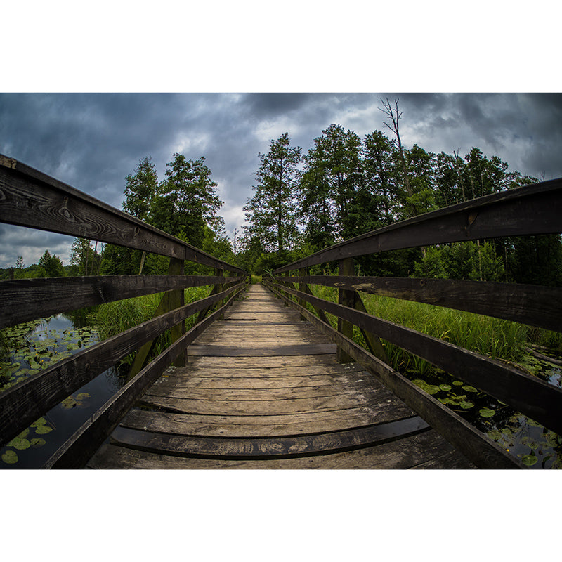 Photography Wall Mural Wallpaper Wooden Bridge Sitting Room Wall Mural