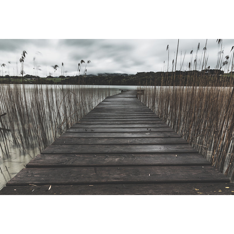 Photography Stain Resistant Wallpaper Outdoor Path Living Room Wall Mural