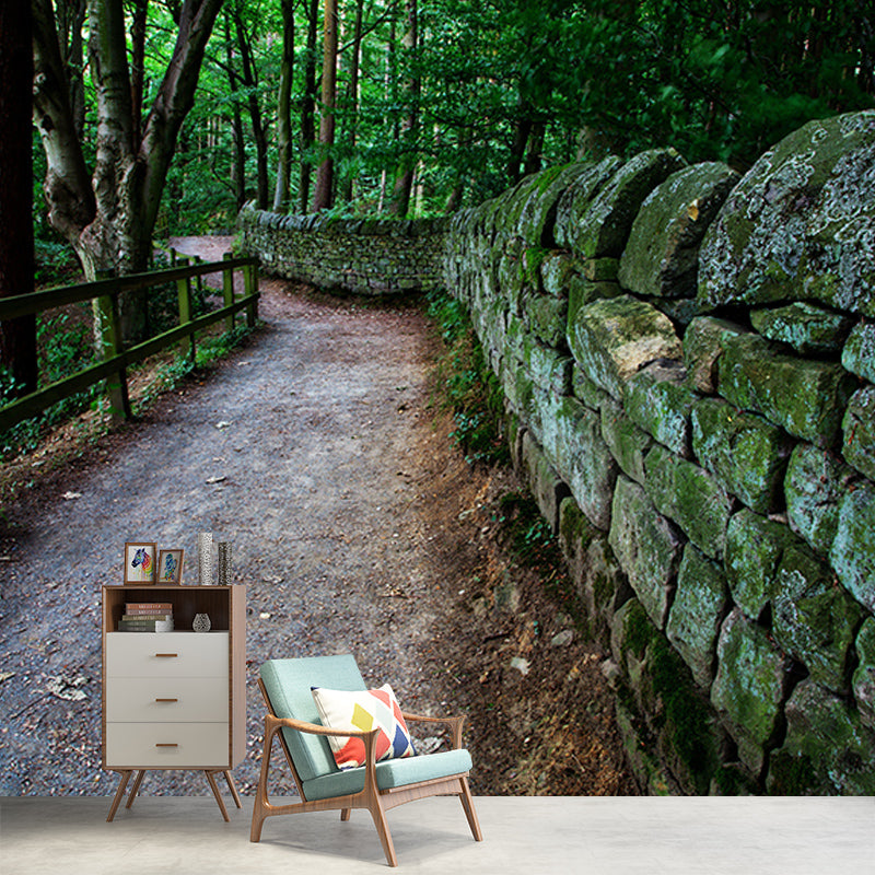 Outdoor Path Environmental Wall Mural Wallpaper Sitting Room Wall Mural
