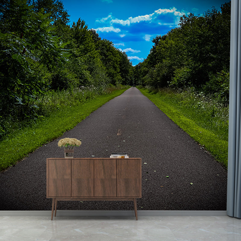 Beautiful Photography Mural Wallpaper Forest Path Indoor Wall Mural