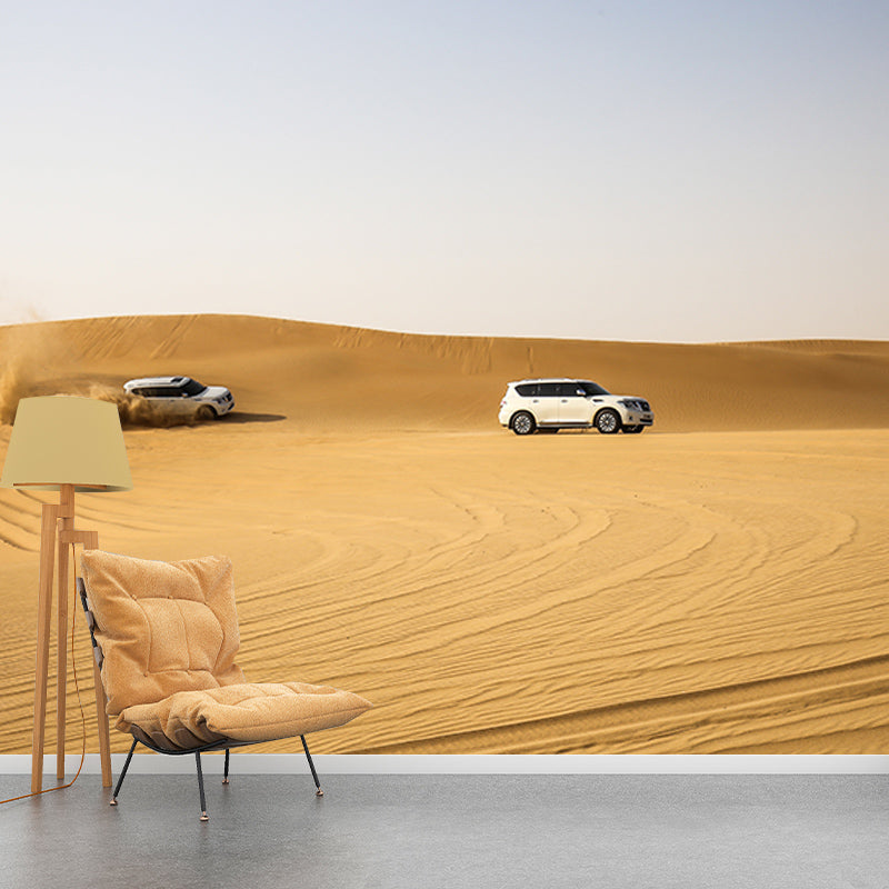 Desert Modern Photography Mural Wallpaper Living Room Wall Mural