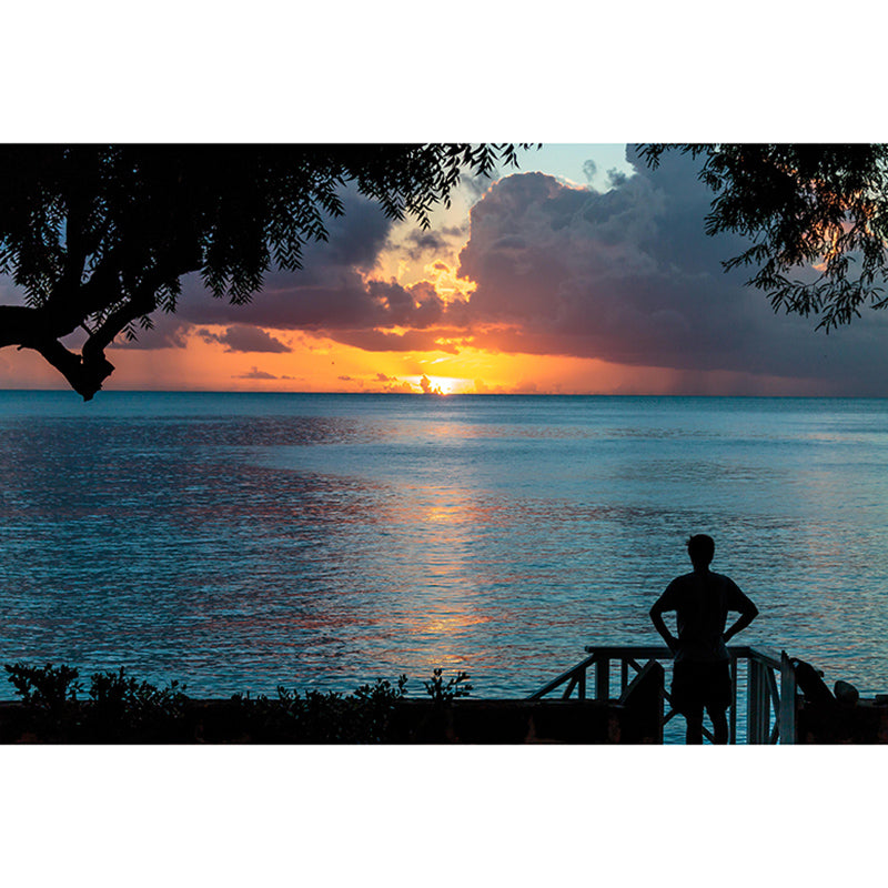 Environment Friendly Wall Mural Wallpaper Tropical Sitting Room Wall Mural