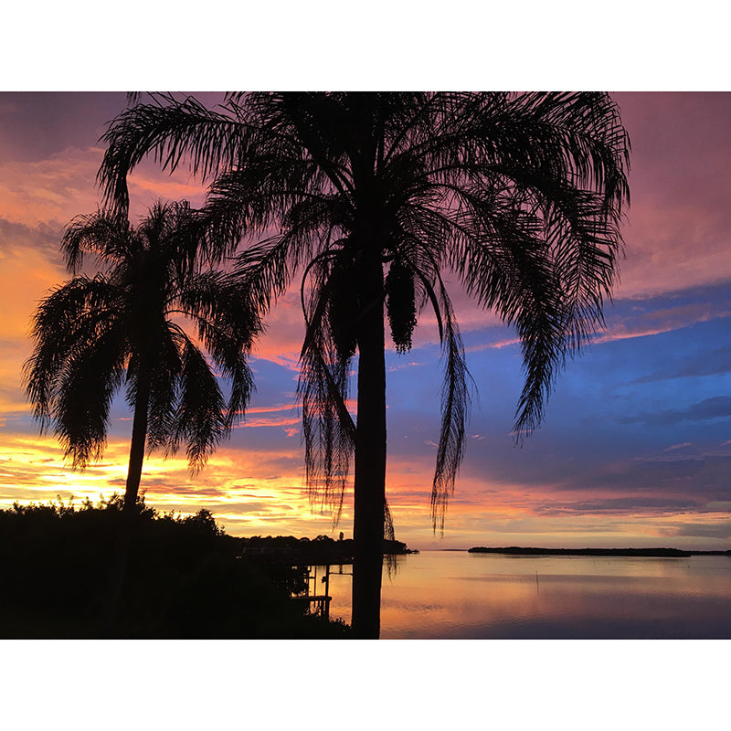 Decorative Wall Mural Wallpaper Tropical Scenery Photography Sitting Room Wall Mural