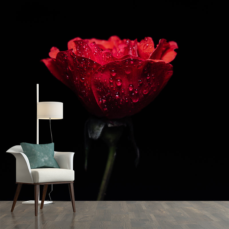 Photography Stain Resistant Wall Mural Wallpaper Roses Sitting Room Wall Mural