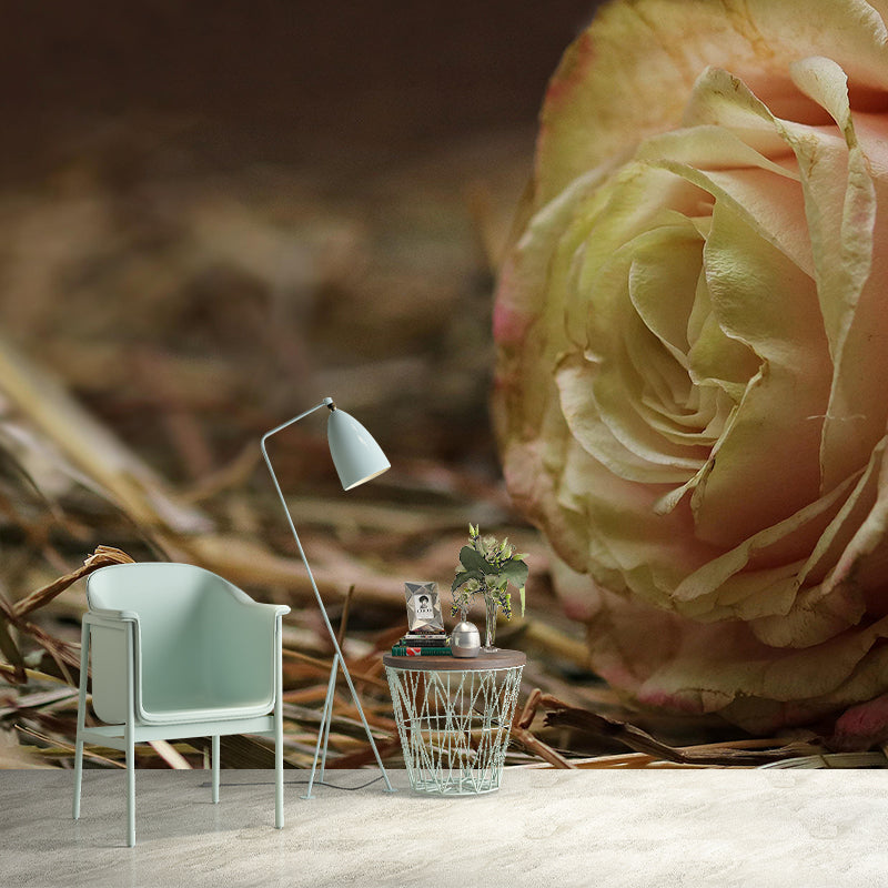 Modern Style Wall Mural Wallpaper Roses Sitting Room Wall Mural