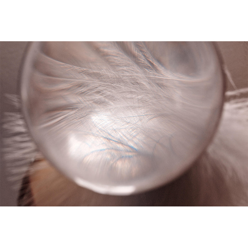 Feather Photography Mural Wallpaper Environment Friendly Living Room Wall Mural